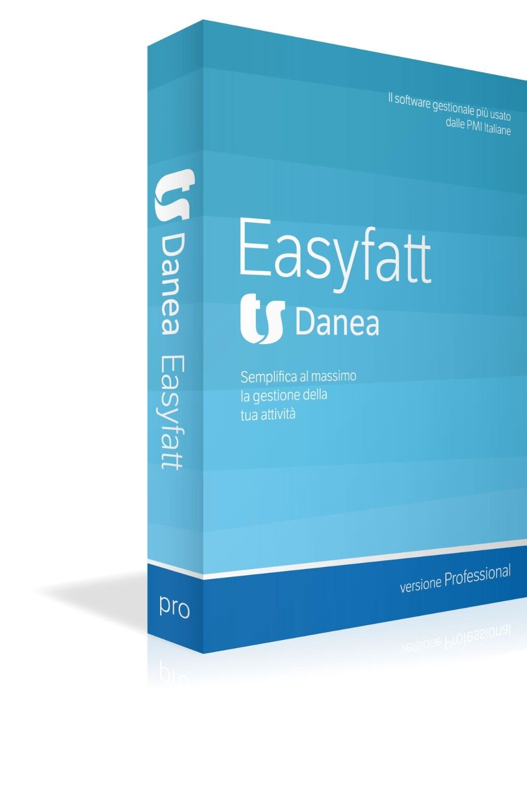 Danea Easyfatt Professional + Danea Support Plan (12 mesi)
