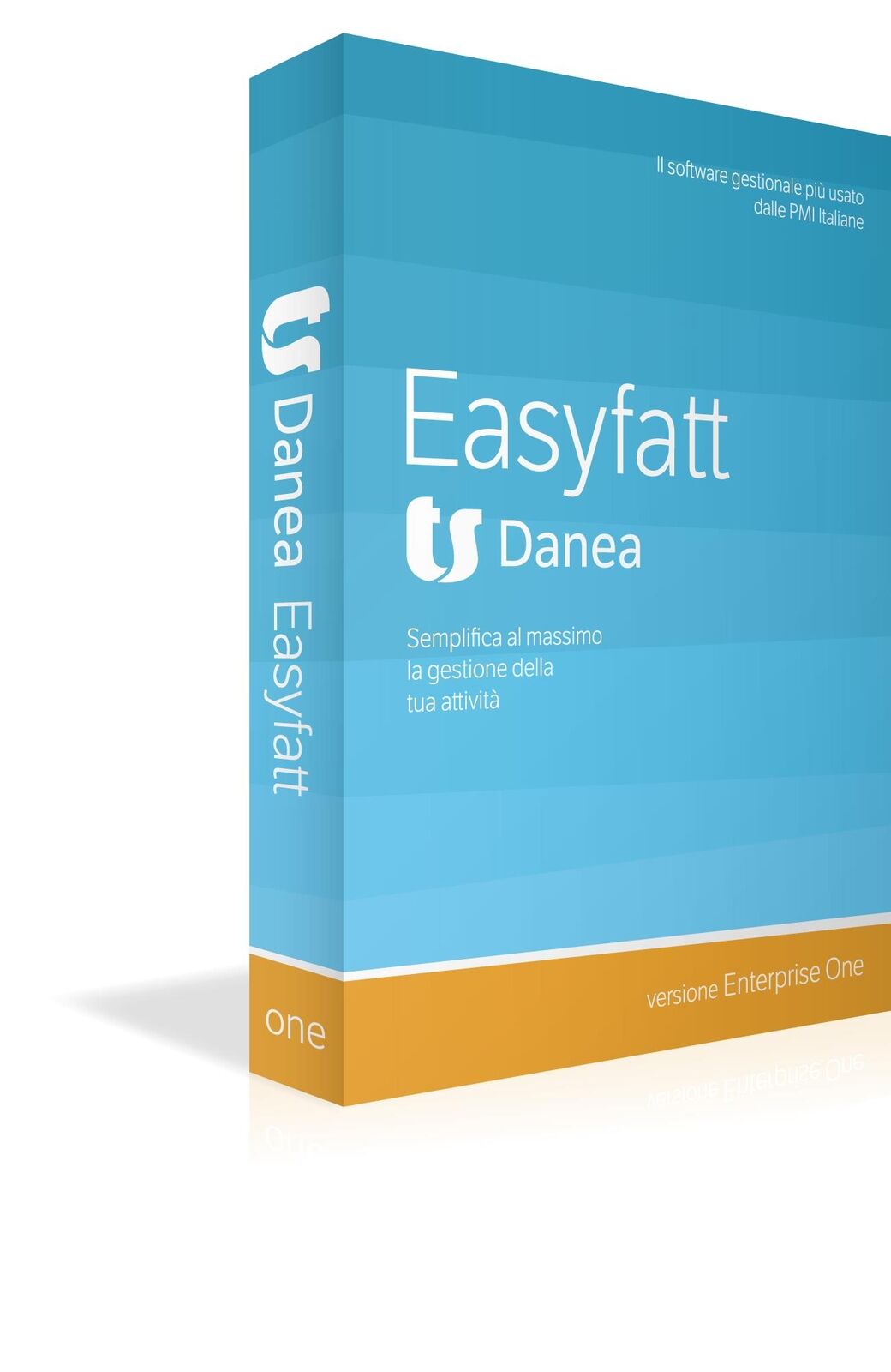Danea Easyfatt Enterprise One + Danea Support Plan (12 mesi)